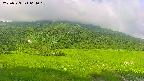 area1-20250723064019.jpg