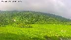 area1-20250723065018.jpg