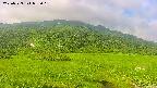 area1-20250723075016.jpg