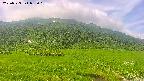 area1-20250723093020.jpg
