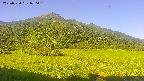 area1-20250724070017.jpg