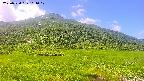 area1-20250724104020.jpg