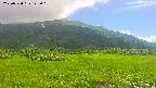 area1-20250724142020.jpg