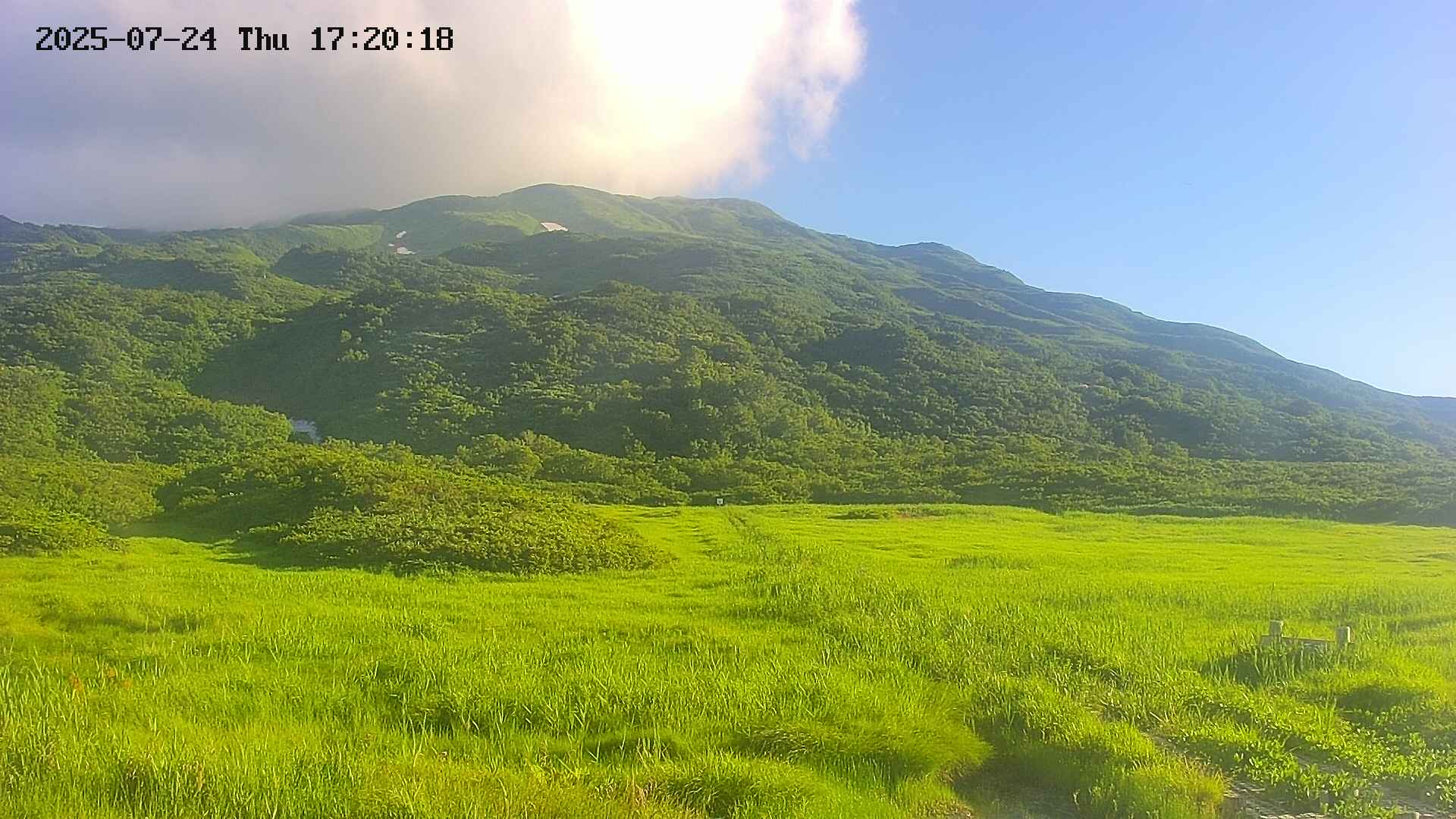area1-20250724172021.jpg