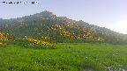 area1-20250724184020.jpg