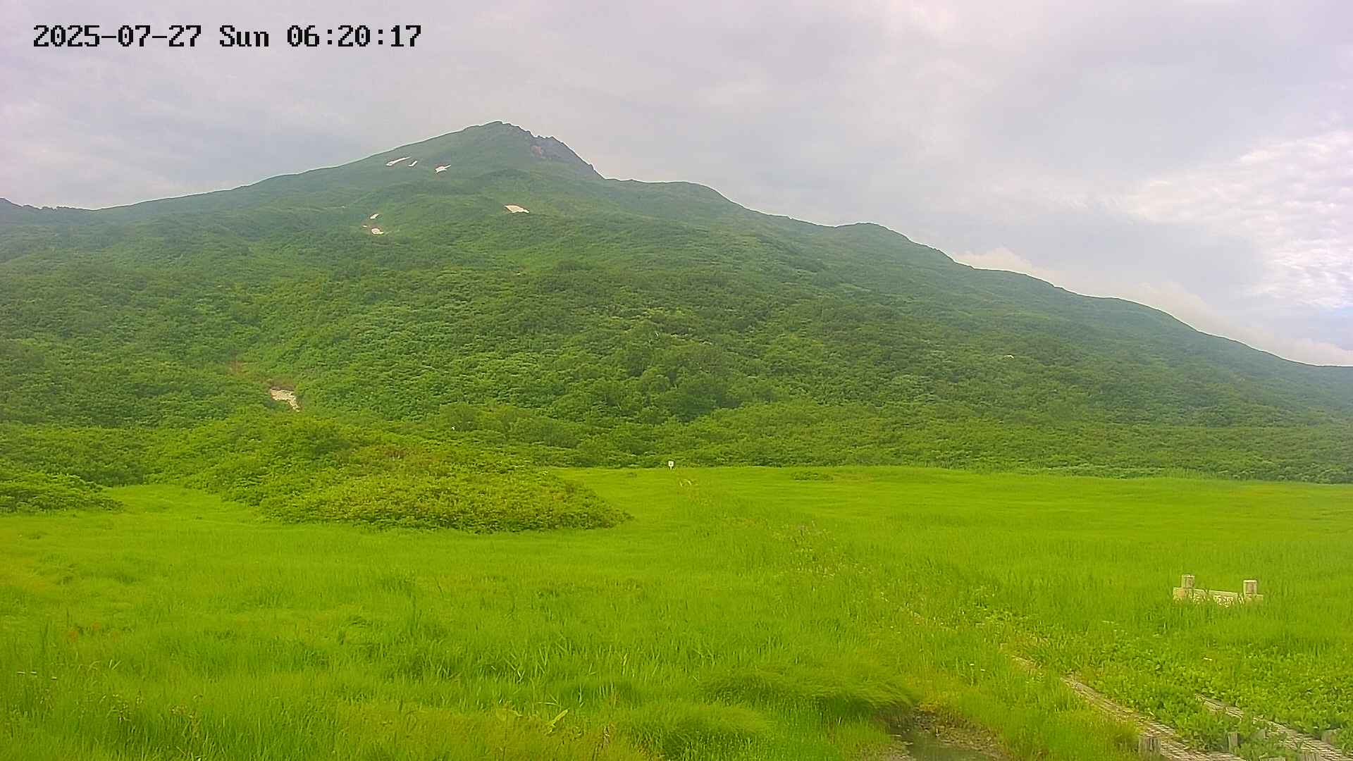 area1-20250727062018.jpg