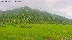 area1-20250727062018.jpg