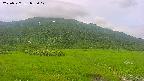 area1-20250727072018.jpg