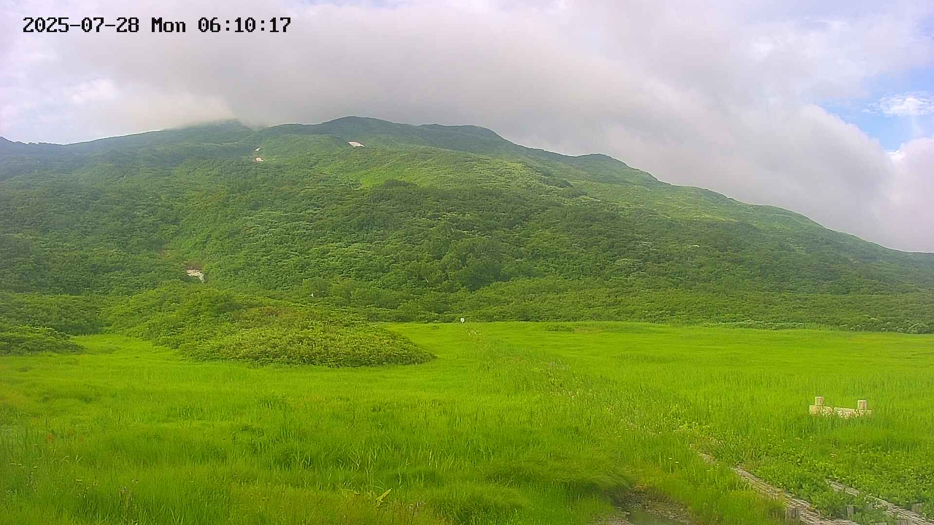 area1-20250728061018.jpg