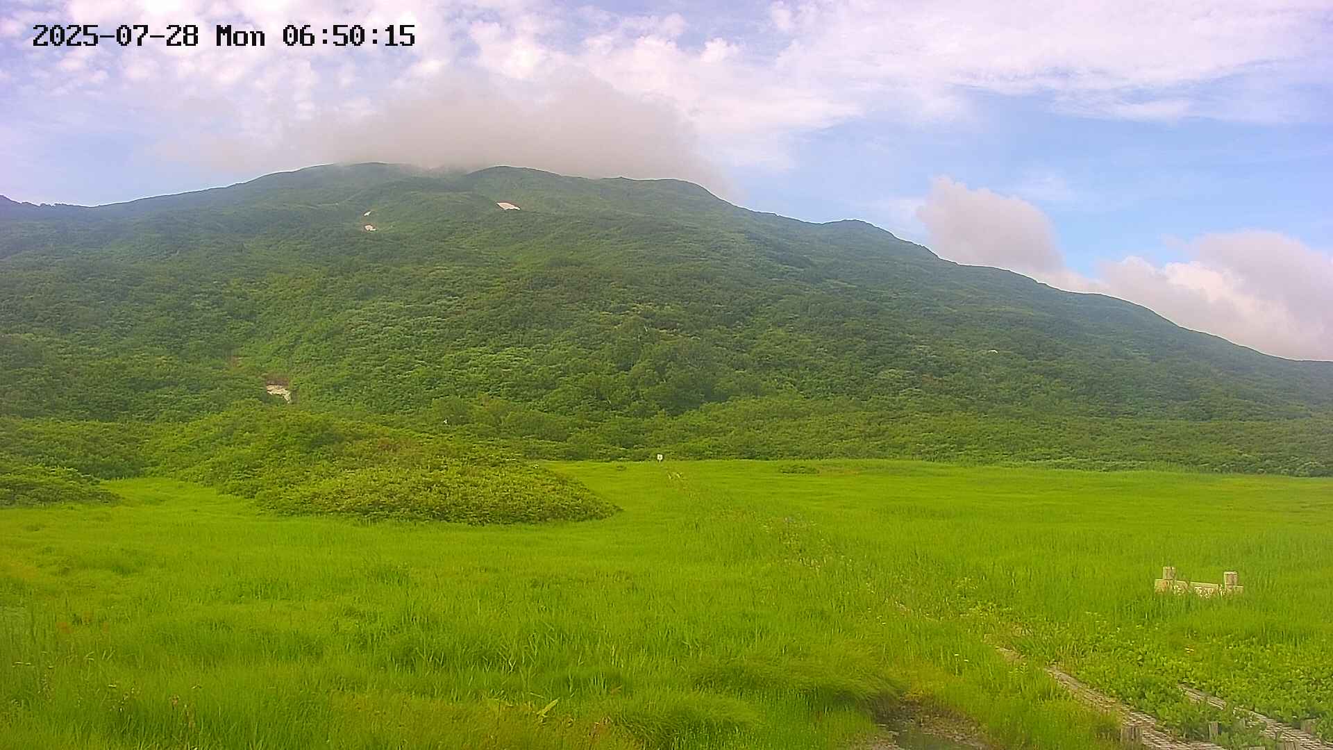 area1-20250728065018.jpg