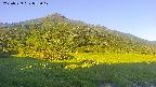 area1-20250729053021.jpg