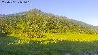 area1-20250729054021.jpg