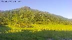 area1-20250729055019.jpg