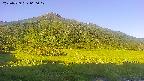 area1-20250729060019.jpg