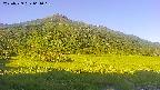 area1-20250729061019.jpg