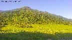 area1-20250729062020.jpg