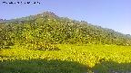 area1-20250729063020.jpg