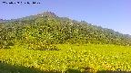 area1-20250729071023.jpg