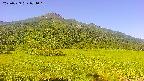 area1-20250729074017.jpg