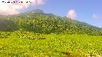 area1-20250729093020.jpg