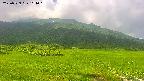 area1-20250729111019.jpg
