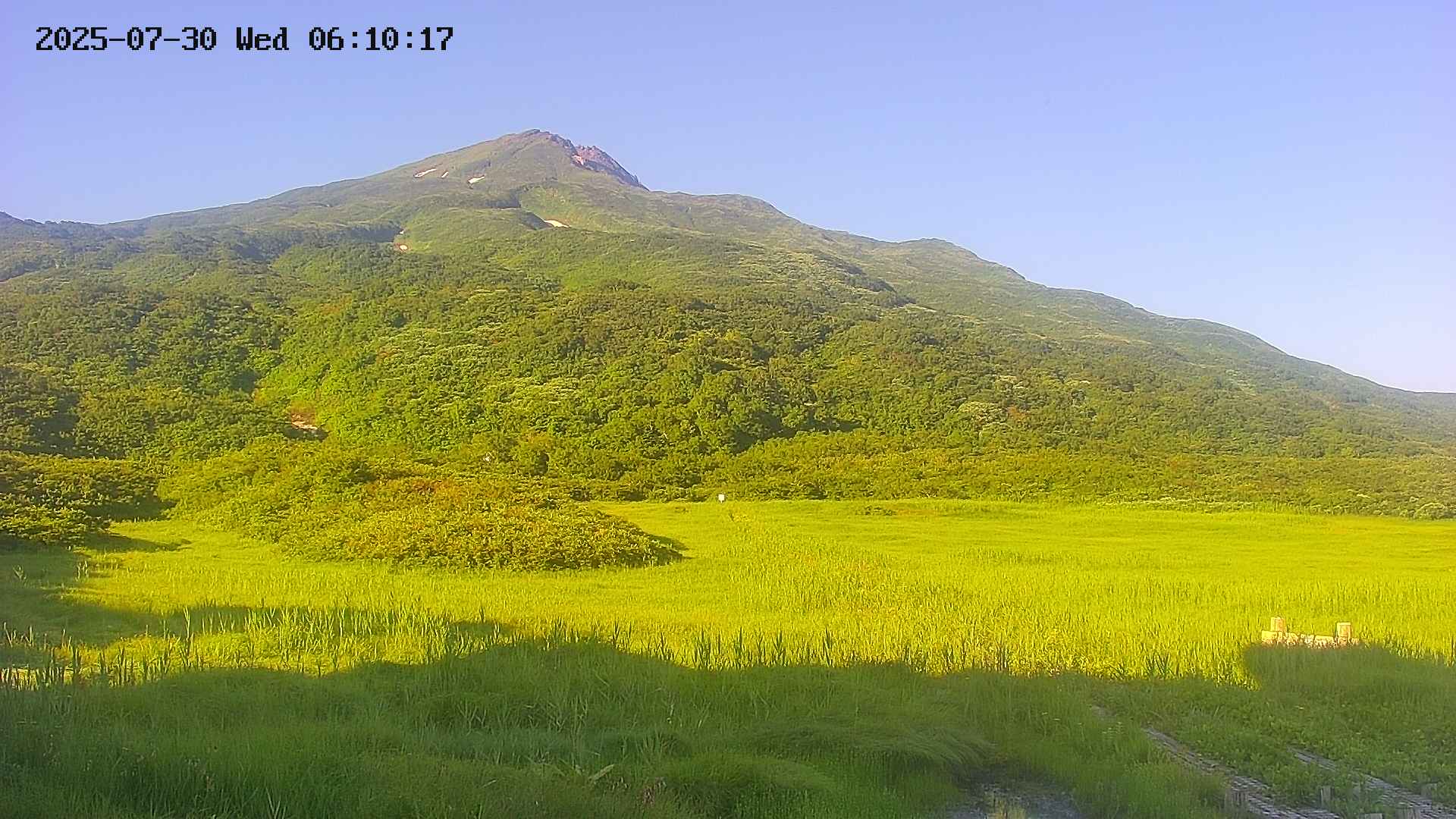 area1-20250730061020.jpg