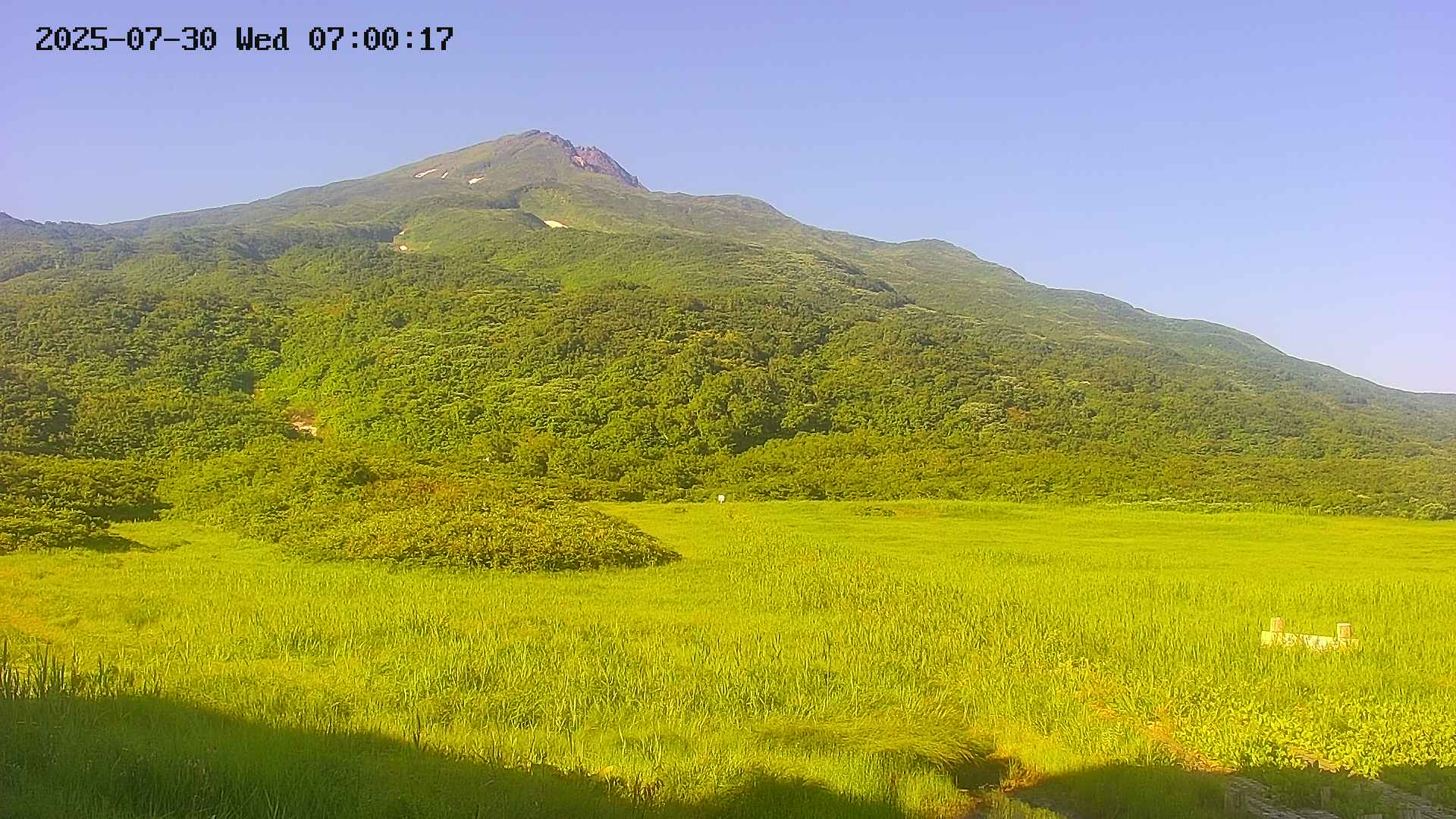 area1-20250730070026.jpg