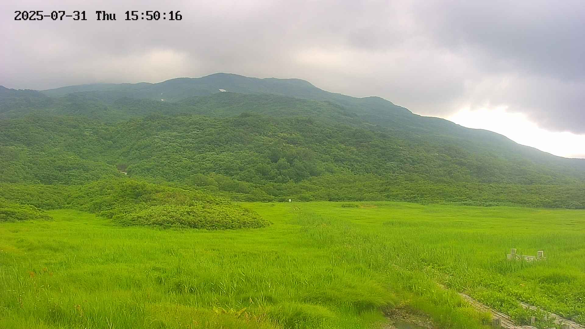 area1-20250731155018.jpg