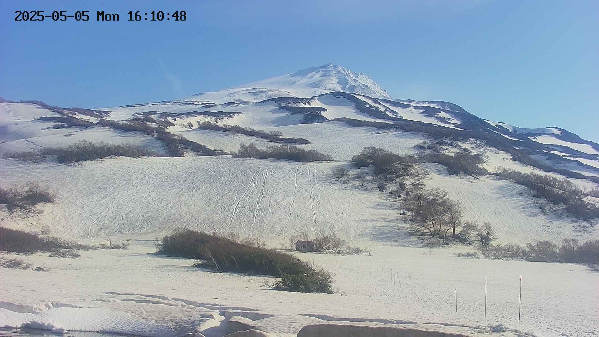 area2-20250505161059.jpg