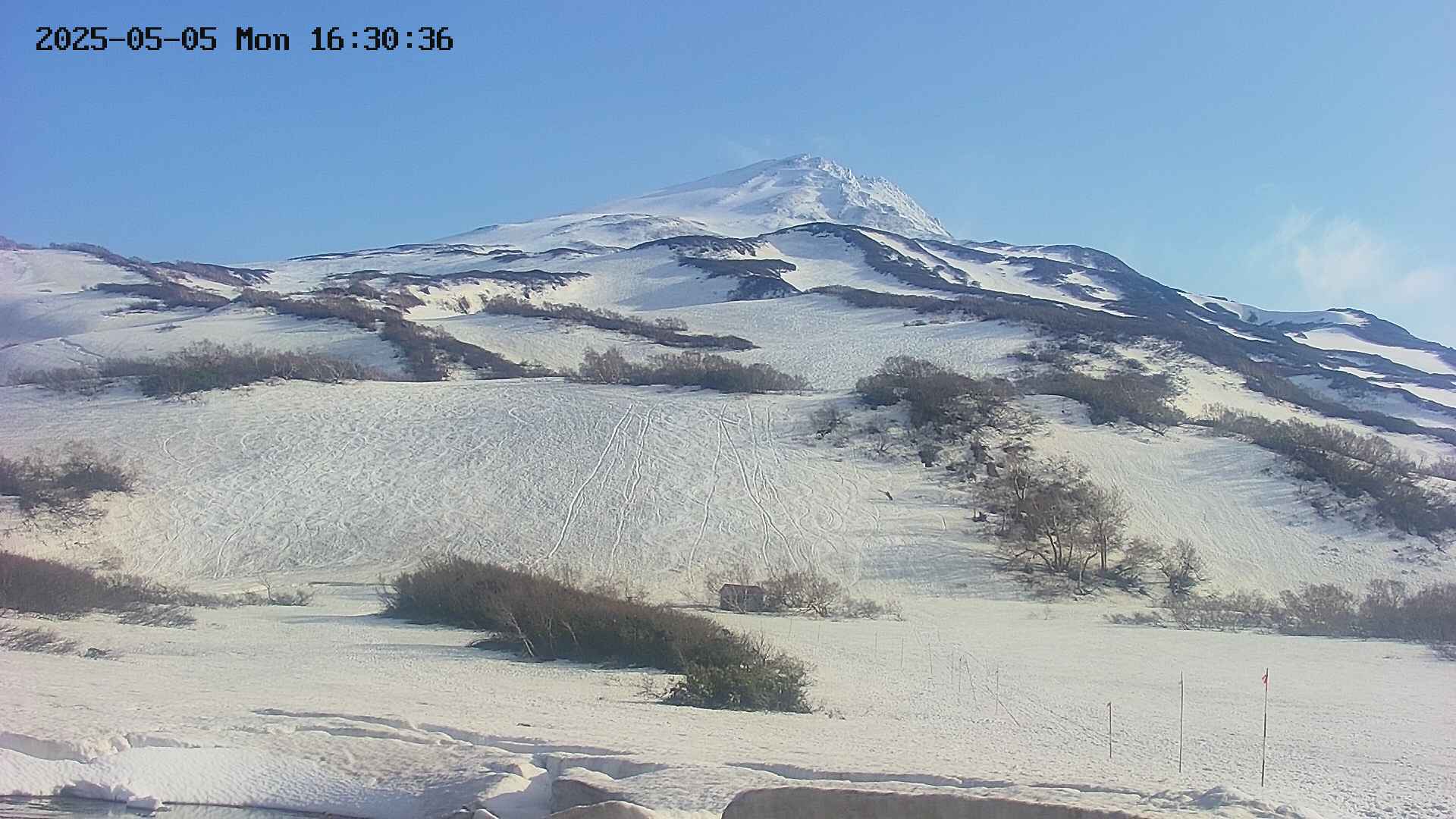 area2-20250505163043.jpg