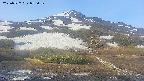 area2-20250527055033.jpg