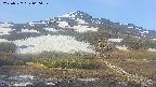 area2-20250527060033.jpg