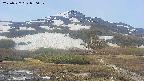 area2-20250527070033.jpg