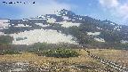 area2-20250527133034.jpg