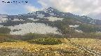 area2-20250527160037.jpg