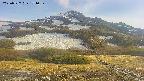 area2-20250527171033.jpg
