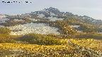 area2-20250527180034.jpg