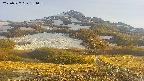 area2-20250527181035.jpg