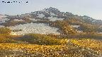 area2-20250527182034.jpg