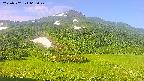 area2-20250702065054.jpg