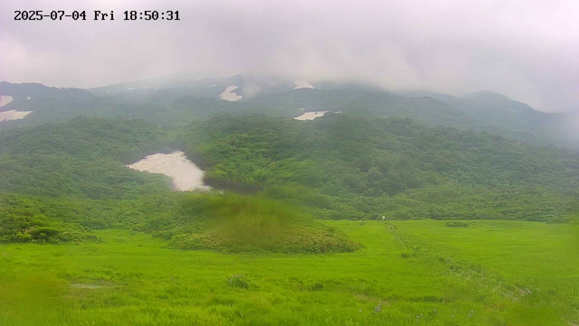 area2-20250704185032.jpg