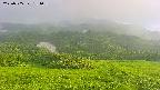 area2-20250705181041.jpg
