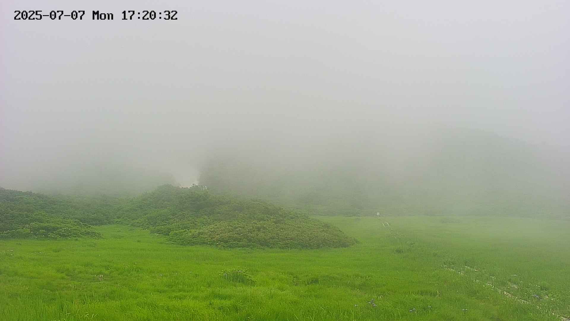 area2-20250707172033.jpg