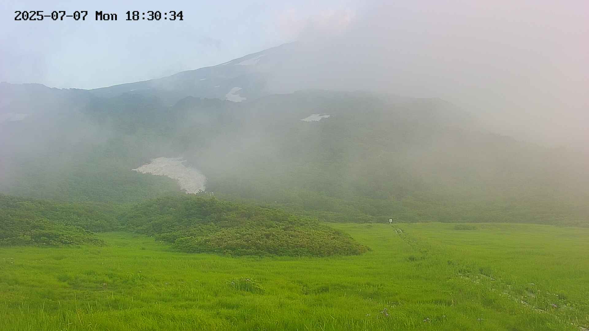 area2-20250707183036.jpg