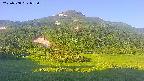 area2-20250708053035.jpg
