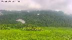 area2-20250709150041.jpg