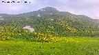 area2-20250709184034.jpg