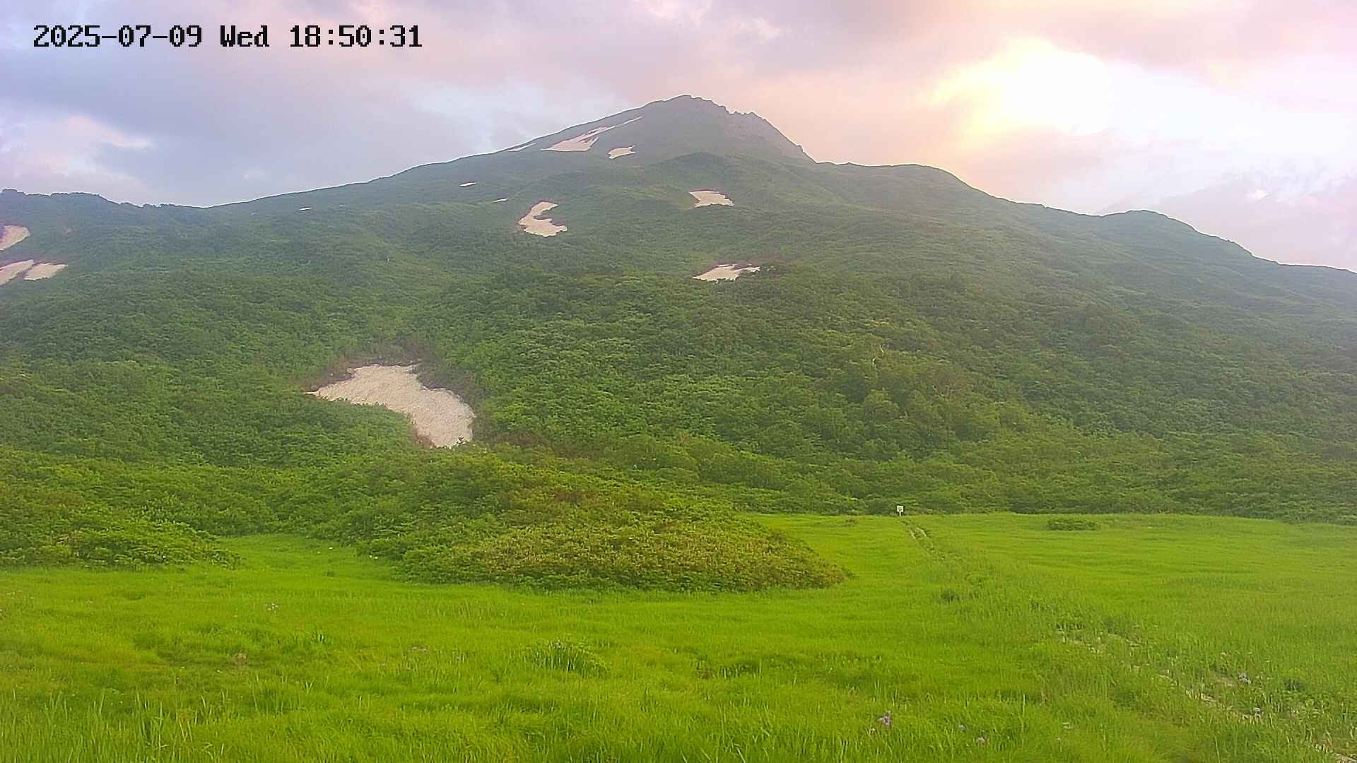 area2-20250709185033.jpg