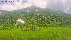 area2-20250710123037.jpg