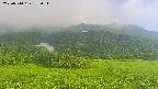 area2-20250710173032.jpg